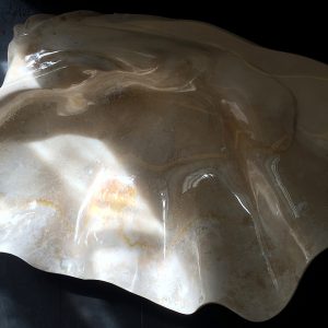 riesenmuschel mördermuschel tridacna gigantea versteinert fossil poliert