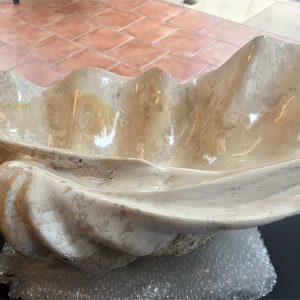riesenmuschel mördermuschel tridacna gigantea versteinert fossil poliert skulptur