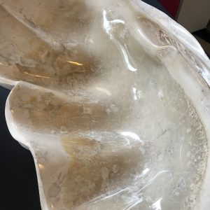 riesenmuschel mördermuschel tridacna gigantea versteinert fossil poliert skulptur
