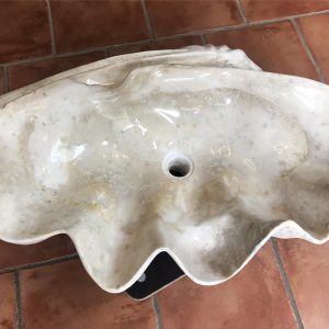 riesenmuschel mördermuschel tridacna gigantea versteinert fossil poliert skulptur waschbecken