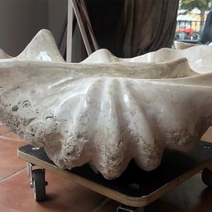 riesenmuschel mördermuschel tridacna gigantea versteinert fossil poliert skulptur waschbecken